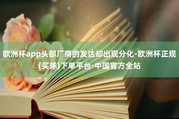 欧洲杯app头部厂商的发达却出现分化-欧洲杯正规(买球)下单平台·中国官方全站
