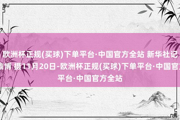 欧洲杯正规(买球)下单平台·中国官方全站 新华社记者 孟鼎博 摄11月20日-欧洲杯正规(买球)下单平台·中国官方全站