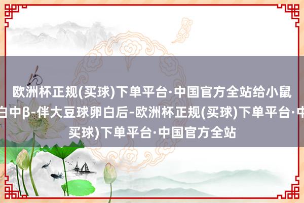 欧洲杯正规(买球)下单平台·中国官方全站给小鼠喂食大豆卵白中β-伴大豆球卵白后-欧洲杯正规(买球)下单平台·中国官方全站