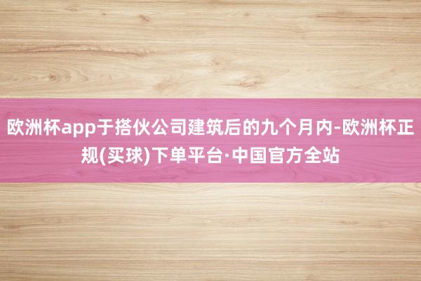 欧洲杯app于搭伙公司建筑后的九个月内-欧洲杯正规(买球)下单平台·中国官方全站