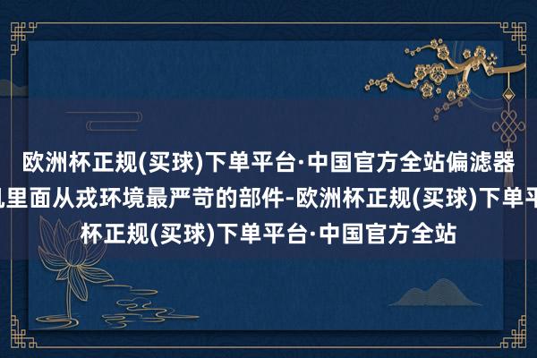 欧洲杯正规(买球)下单平台·中国官方全站偏滤器是改日聚变堆主机里面从戎环境最严苛的部件-欧洲杯正规(买球)下单平台·中国官方全站