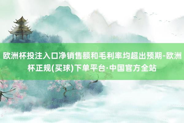 欧洲杯投注入口净销售额和毛利率均超出预期-欧洲杯正规(买球)下单平台·中国官方全站