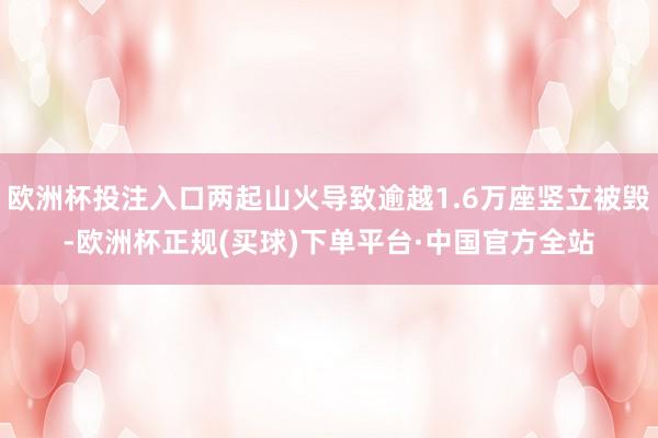 欧洲杯投注入口两起山火导致逾越1.6万座竖立被毁-欧洲杯正规(买球)下单平台·中国官方全站
