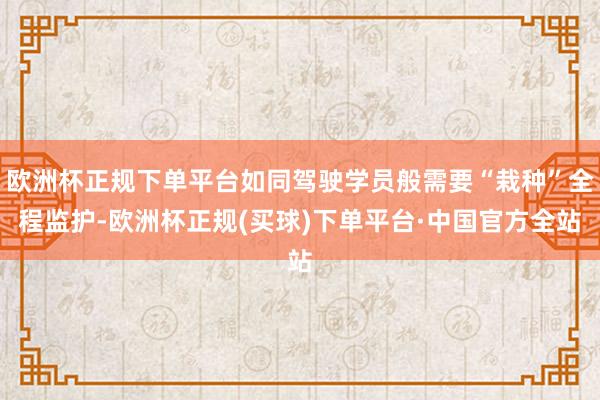 欧洲杯正规下单平台如同驾驶学员般需要“栽种”全程监护-欧洲杯正规(买球)下单平台·中国官方全站