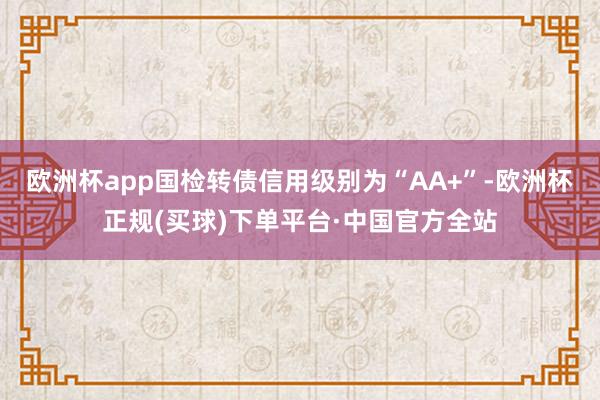 欧洲杯app国检转债信用级别为“AA+”-欧洲杯正规(买球)下单平台·中国官方全站