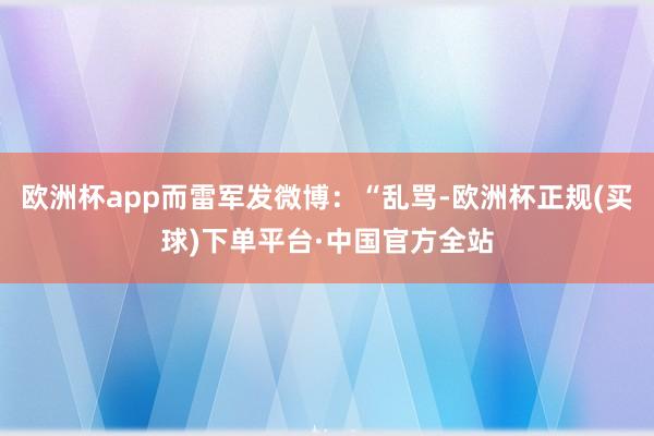 欧洲杯app而雷军发微博：“乱骂-欧洲杯正规(买球)下单平台·中国官方全站