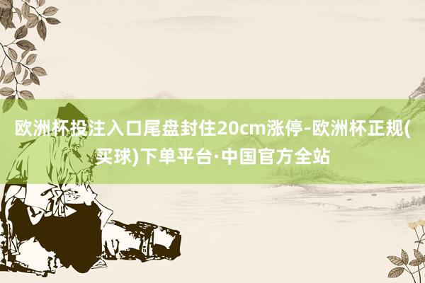 欧洲杯投注入口尾盘封住20cm涨停-欧洲杯正规(买球)下单平台·中国官方全站