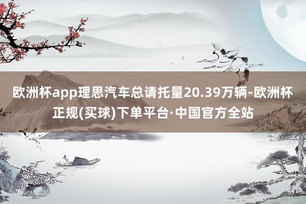 欧洲杯app理思汽车总请托量20.39万辆-欧洲杯正规(买球)下单平台·中国官方全站