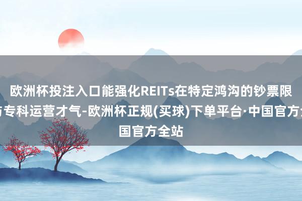 欧洲杯投注入口能强化REITs在特定鸿沟的钞票限度与专科运营才气-欧洲杯正规(买球)下单平台·中国官方全站