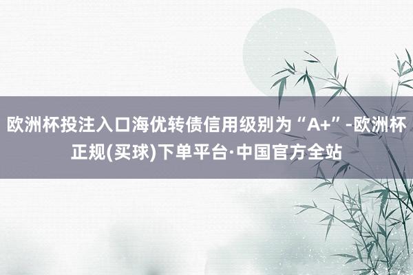 欧洲杯投注入口海优转债信用级别为“A+”-欧洲杯正规(买球)下单平台·中国官方全站