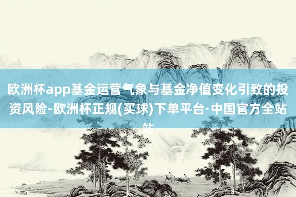 欧洲杯app基金运营气象与基金净值变化引致的投资风险-欧洲杯正规(买球)下单平台·中国官方全站