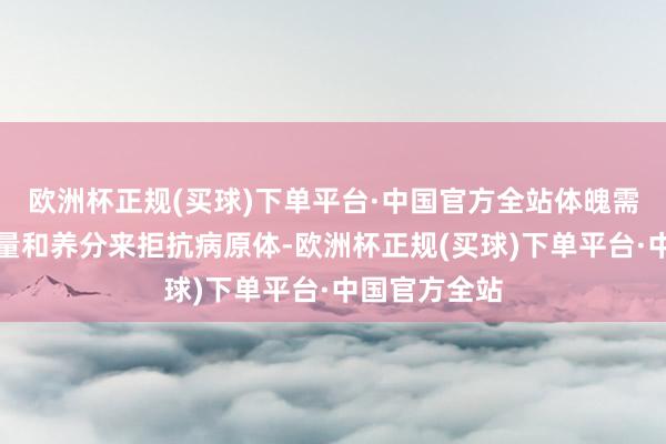 欧洲杯正规(买球)下单平台·中国官方全站体魄需要裕如的能量和养分来拒抗病原体-欧洲杯正规(买球)下单平台·中国官方全站