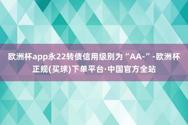 欧洲杯app永22转债信用级别为“AA-”-欧洲杯正规(买球)下单平台·中国官方全站