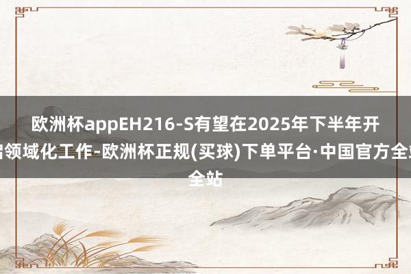 欧洲杯appEH216-S有望在2025年下半年开启领域化工作-欧洲杯正规(买球)下单平台·中国官方全站