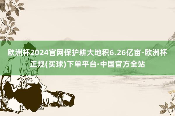 欧洲杯2024官网保护耕大地积6.26亿亩-欧洲杯正规(买球)下单平台·中国官方全站